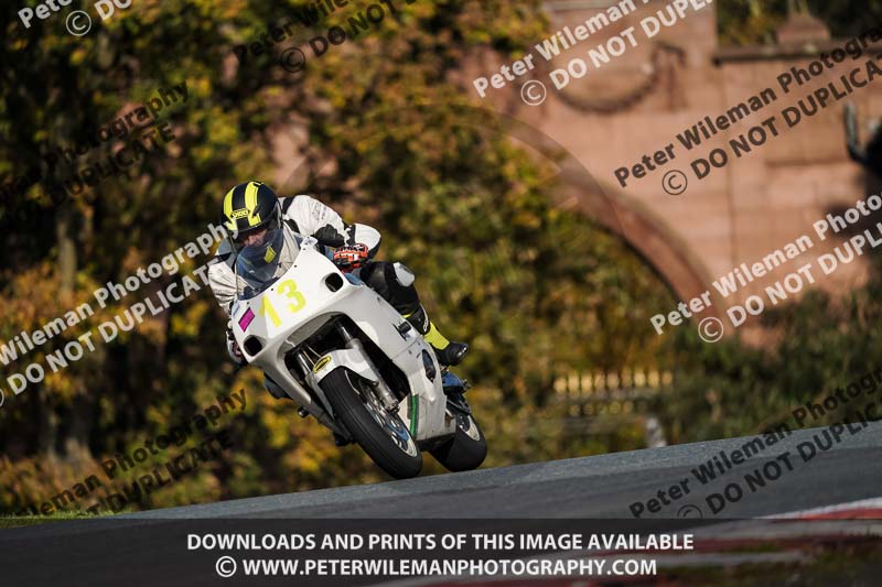 anglesey;brands hatch;cadwell park;croft;donington park;enduro digital images;event digital images;eventdigitalimages;mallory;no limits;oulton park;peter wileman photography;racing digital images;silverstone;snetterton;trackday digital images;trackday photos;vmcc banbury run;welsh 2 day enduro